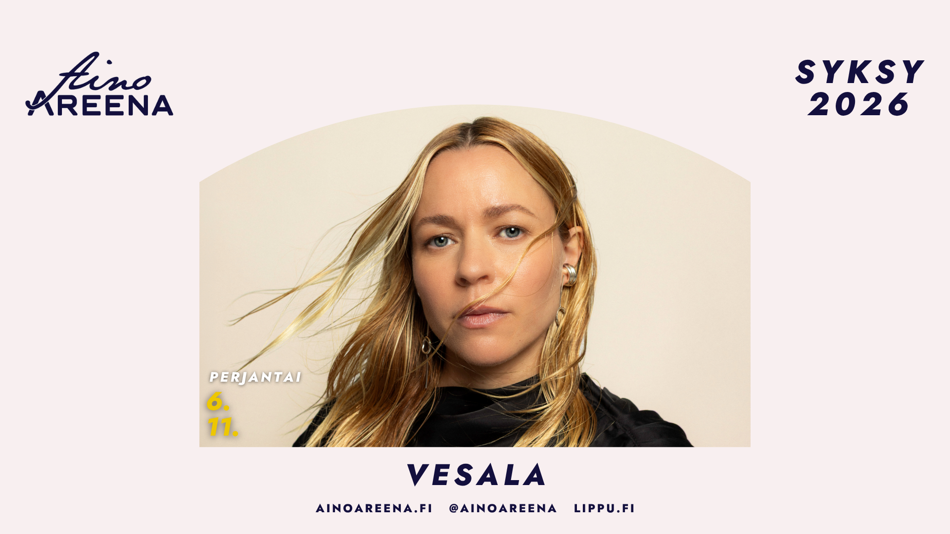 Vesalan keikka Aino Areenalla